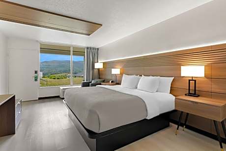 Standard King Bed Nonsmoking