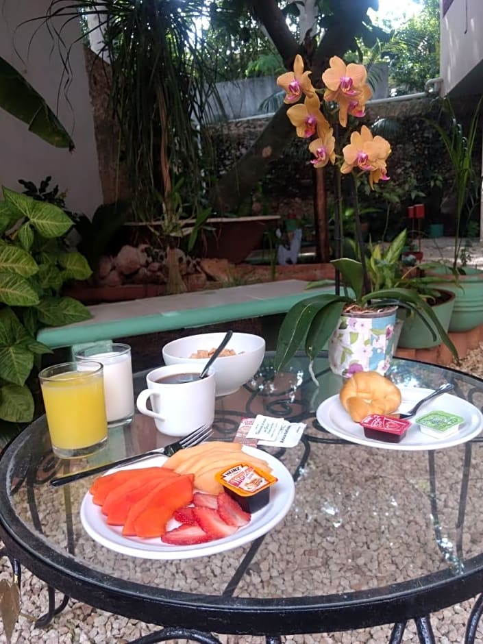 Hotel Casa Pellegrin