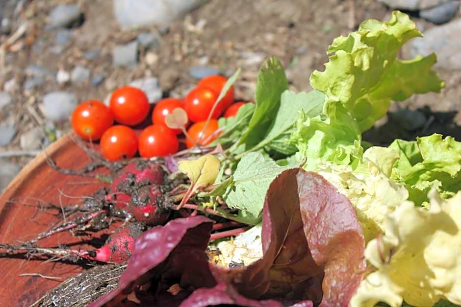 Xelena Hotel & Suites