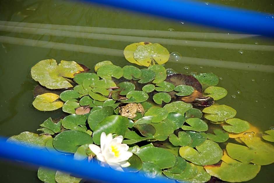 Hotel Petit Cala Fornells