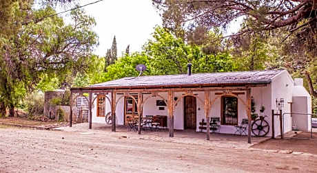 Compass View