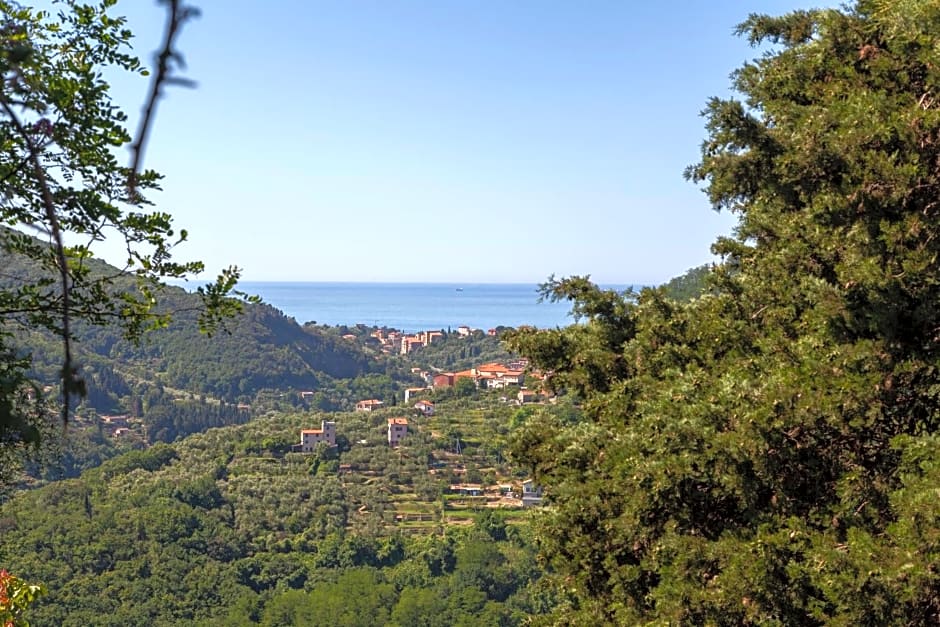 Pietrantica - Affittacamere con giardino NUOVA APERTURA a Trebiano -CITR