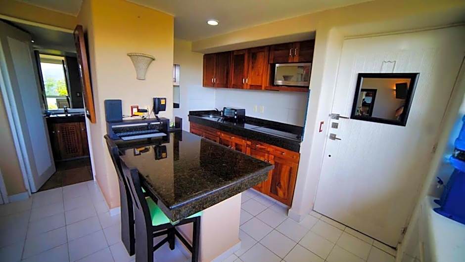 Elegant Beachfront Studio in Monarca Ixtapa