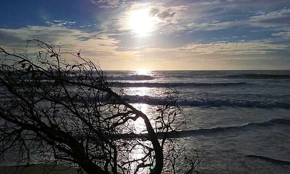 BIG4 Tasman Holiday Parks - Nambucca Heads