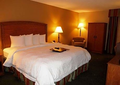 1 King Bed, Suite, Smoking