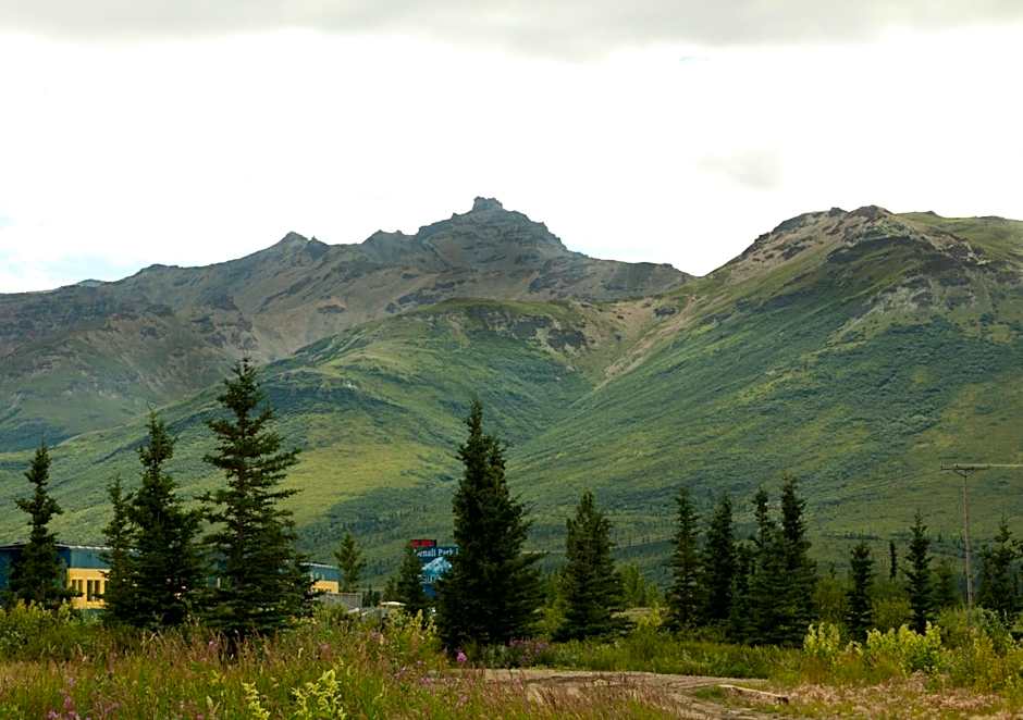 Denali Park Hotel