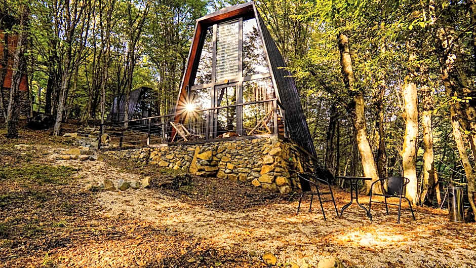 Eco Village In The Forest