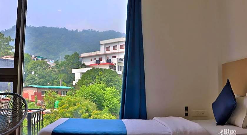 The Blue Jay Hostel - Dorms & Rooms Hotel