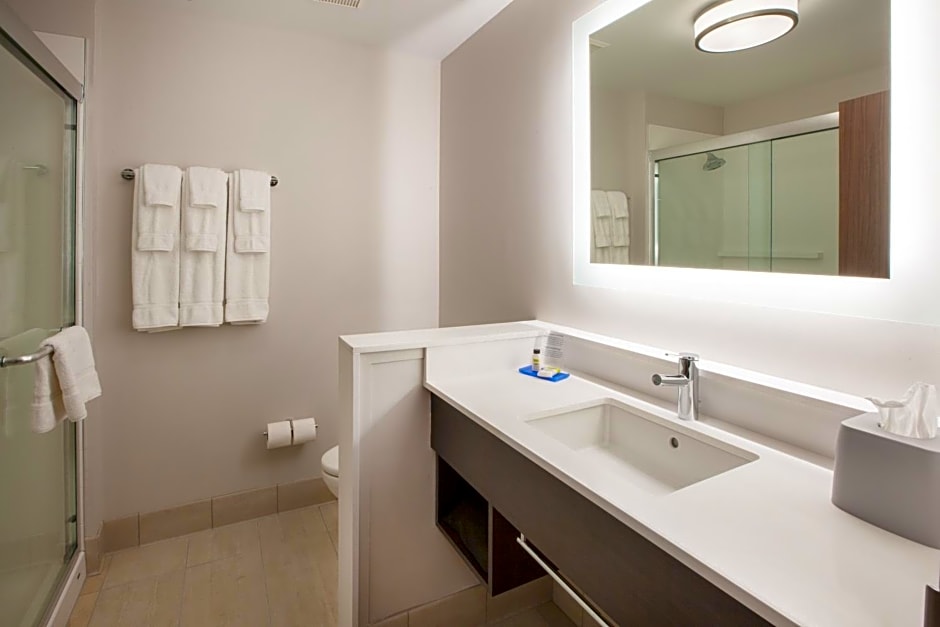 Holiday Inn Express & Suites - Houston - N Downtown, an IHG Hotel