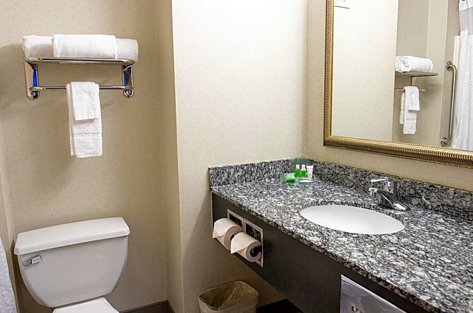 Holiday Inn Lake Union By IHG