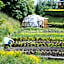 Der Waldhof