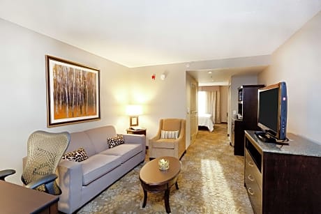 1 King Bed 1 Bedroom  Suite