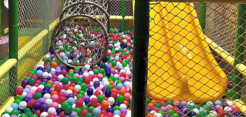 Zamek Janów Podlaski