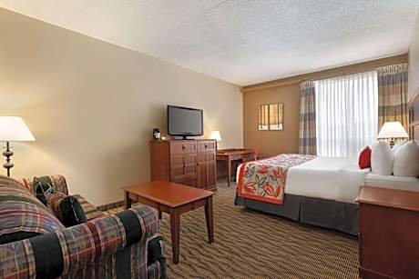 Queen Room with Sofa Bed - Stair Access Only - Pet-Friendly/Non-Smoking