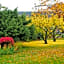 Hartley Homestead Boutique Bed & Breakfast
