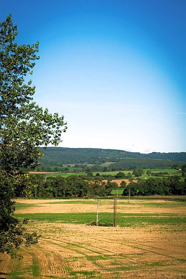 Plum and Partridge Husthwaite