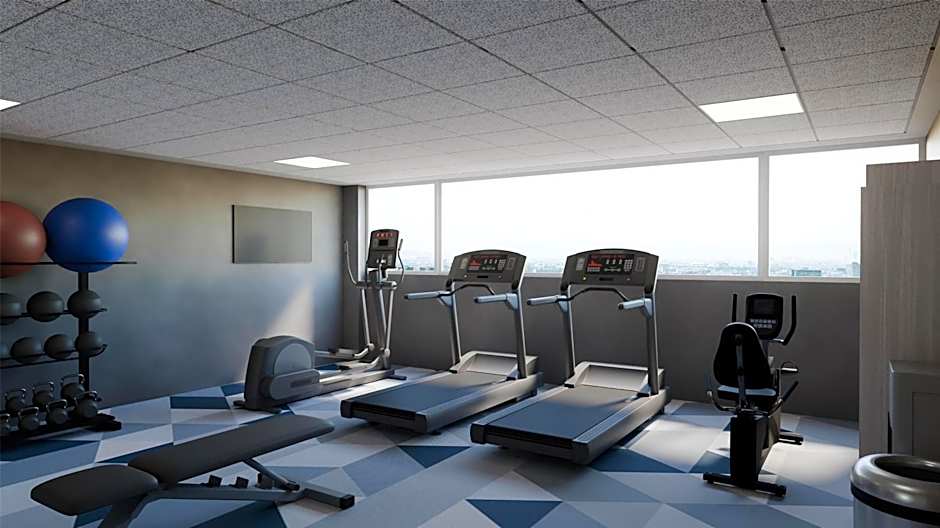 Hilton Garden Inn Mexico City Polanco