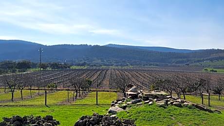 Herdade do Burrazeiro Turismo Rural no Alentejo