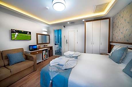 Standard Double or Twin Room