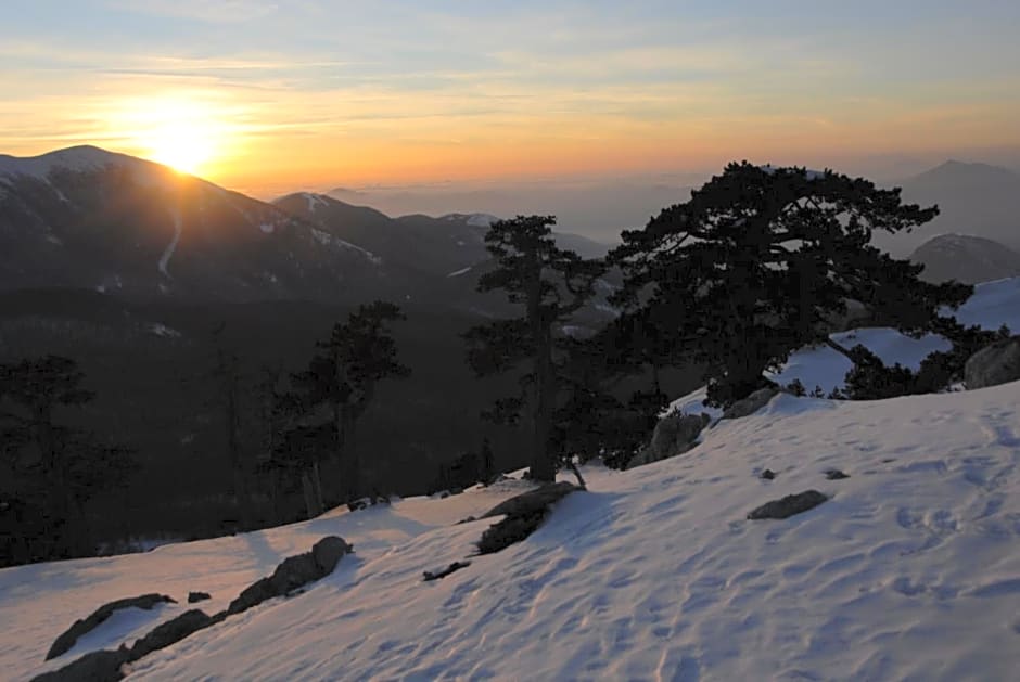 Tana Libera Tutti 1 Nature, Yourself, Love