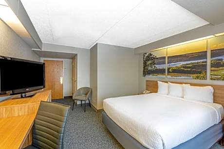 Standard Queen Room - Disability Access - Non-Smoking