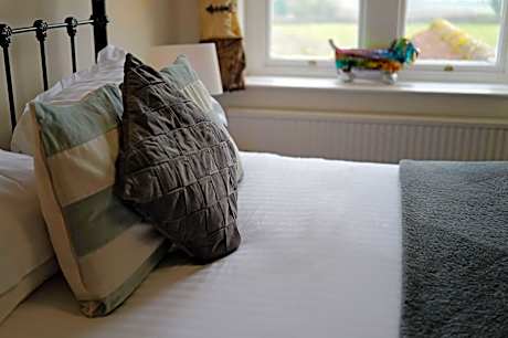 King Room with Garden View