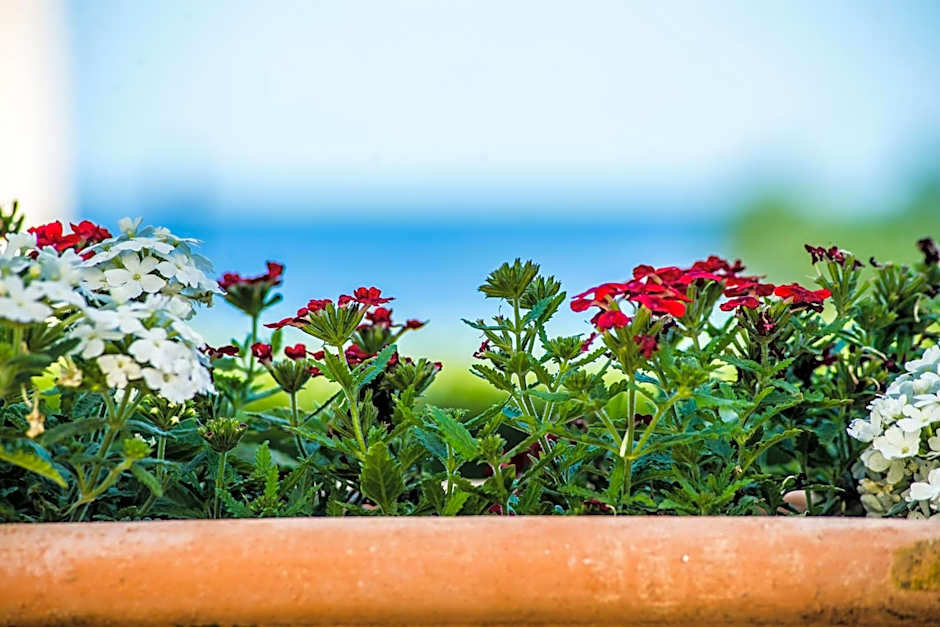 Amboula Beach Apartments