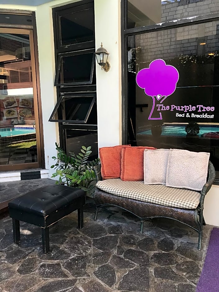 Purple Tree Bed and Breakfast