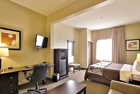 1 King Bed, Suite, Nonsmoking, Accessible