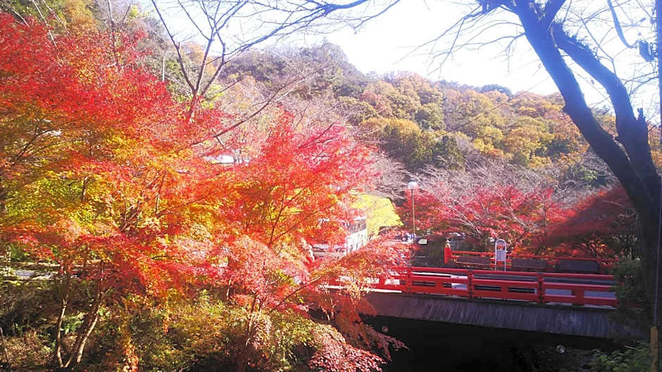 猿投温泉金泉閣