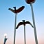 Country Inn & Suites by Radisson, Virginia Beach Oceanfront , VA