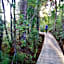 Sapphire Springs Holiday Park and Thermal Pools