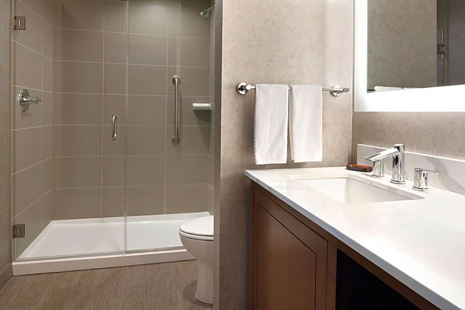 Embassy Suites By Hilton Chicago-Naperville