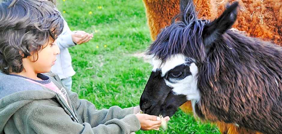 Drovers Rest Farm Stay