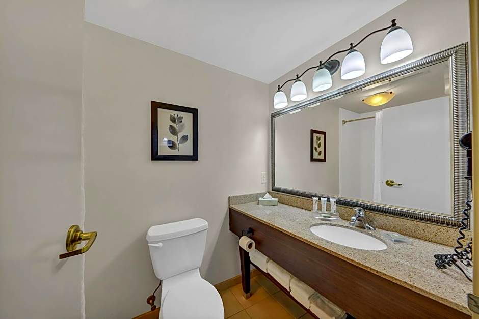 Country Inn & Suites by Radisson, Braselton