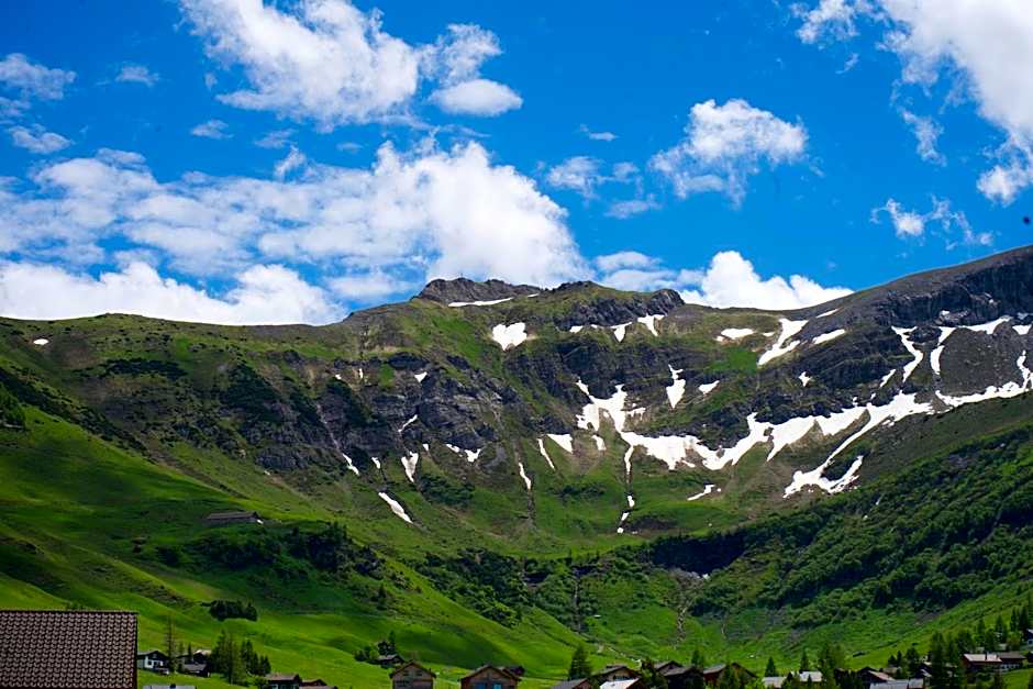 Vögeli Alpenhotel Malbun