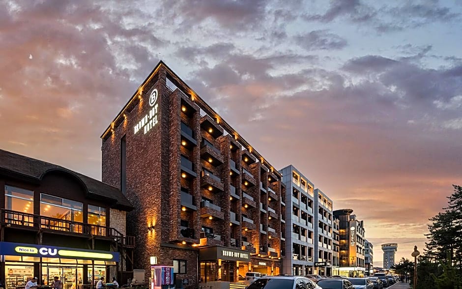 Brown Dot Gangneung Gyeongpo