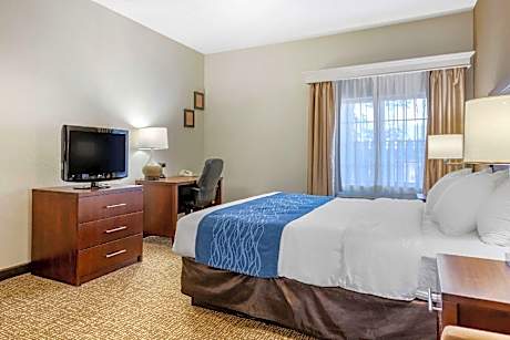 1 Double Bed, Nonsmoking, Accessible