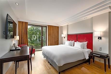 Premium Room with Park View
