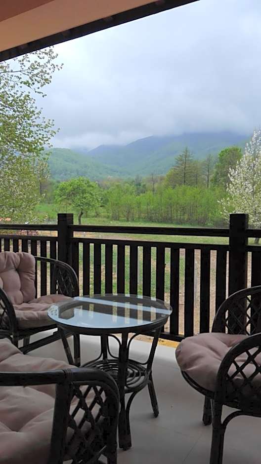 Комплекс Тянкови къщи