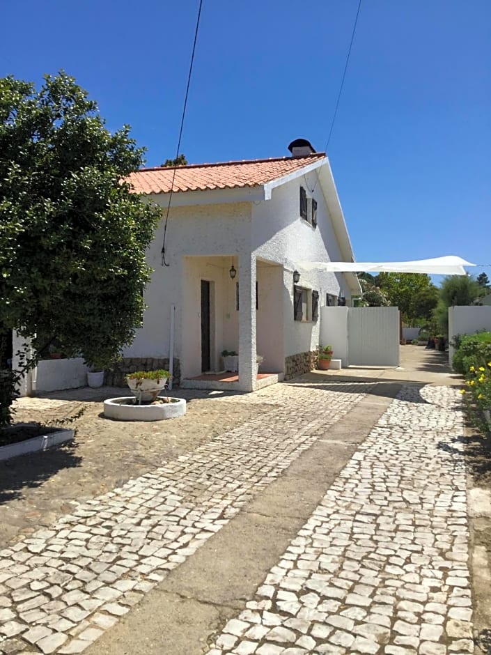 AmendoeirasHouse-SustainableLiving