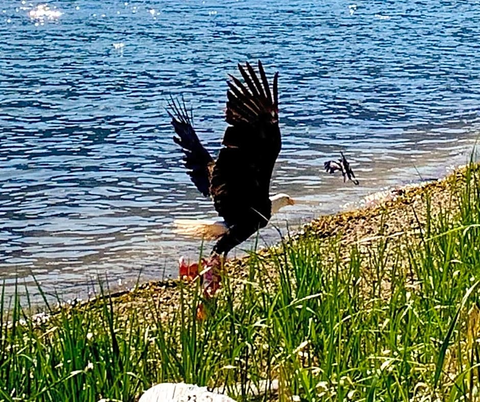 Frigon Suite -Waterfront