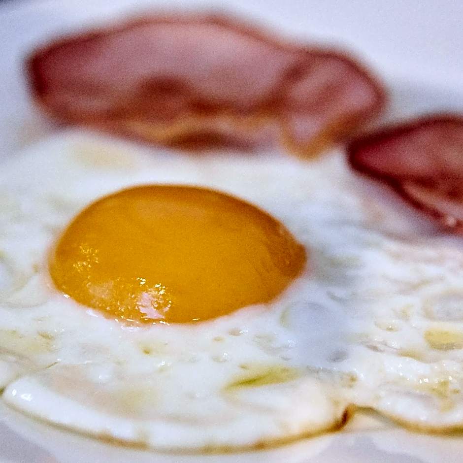 Hotel Spa Les Saules