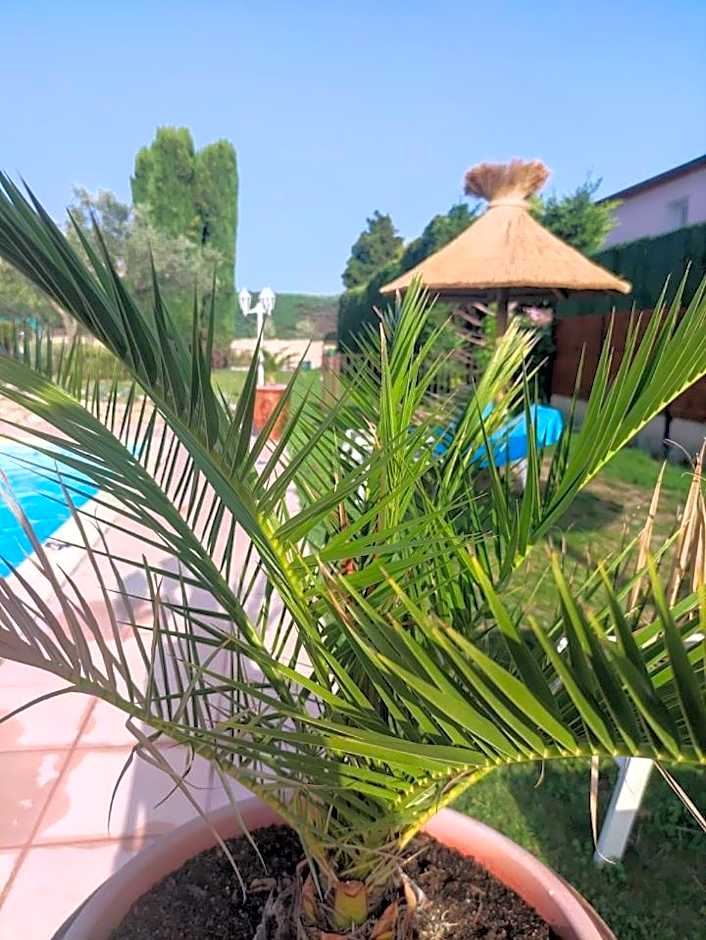 Les chambres d'hôtes d'Eloïse, piscine privée