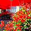 Hotel Cafe Restaurant Loreleyblick