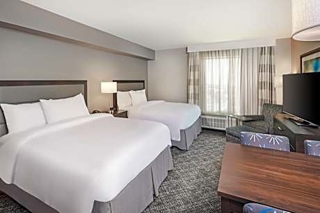 Queen Studio - Mobility Accessible with Roll-In Shower