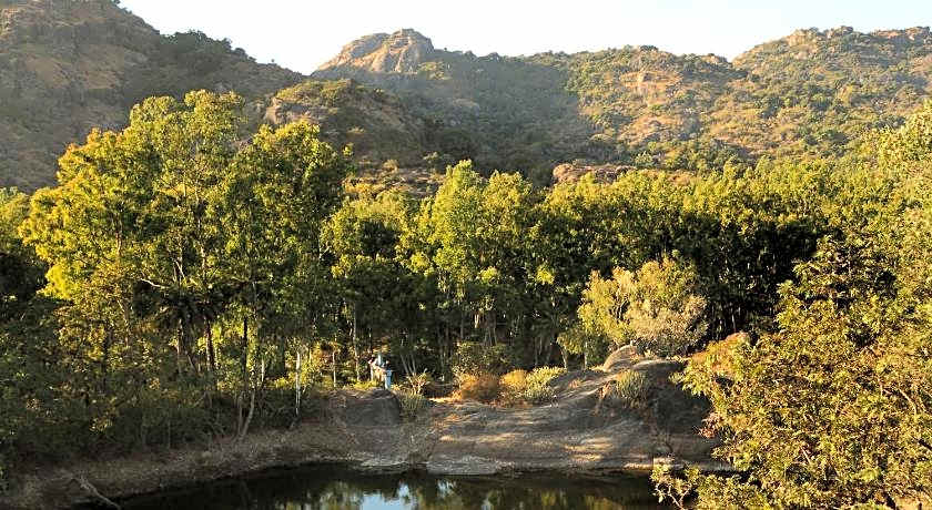 The Palace Hotel - BIkaner House