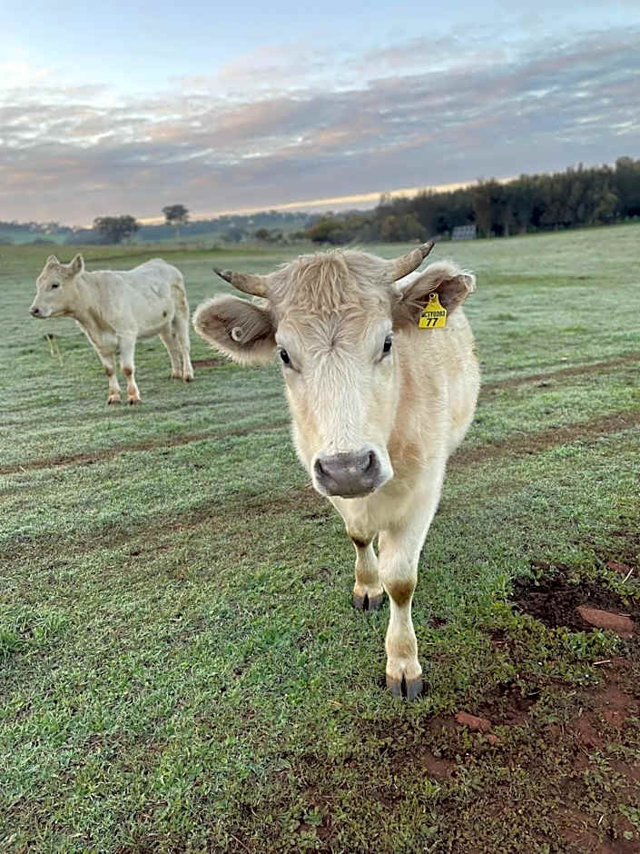 Sandalwood Downs Fabulous Farm Stay TOODYAY