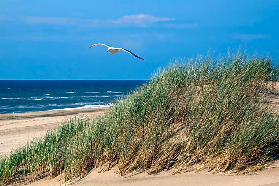 Golden Tulip Noordwijk Beach