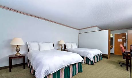 1 Queen Bed Non-Smoking